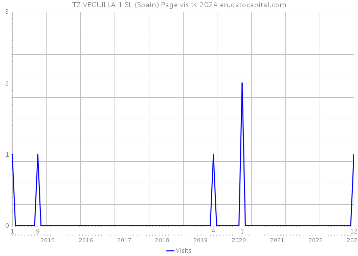 TZ VEGUILLA 1 SL (Spain) Page visits 2024 