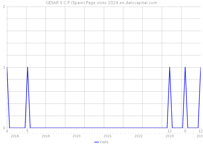 GESAR S C P (Spain) Page visits 2024 