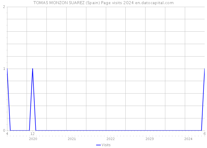 TOMAS MONZON SUAREZ (Spain) Page visits 2024 