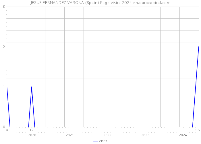 JESUS FERNANDEZ VARONA (Spain) Page visits 2024 