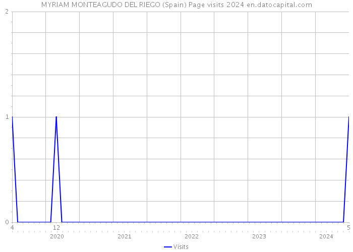 MYRIAM MONTEAGUDO DEL RIEGO (Spain) Page visits 2024 