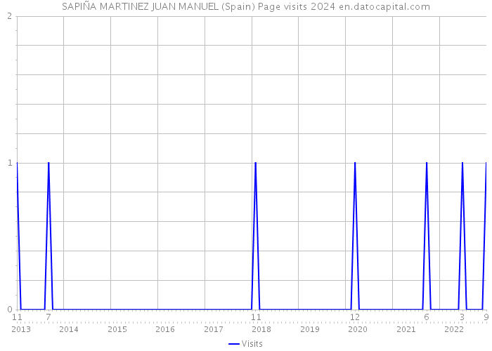 SAPIÑA MARTINEZ JUAN MANUEL (Spain) Page visits 2024 