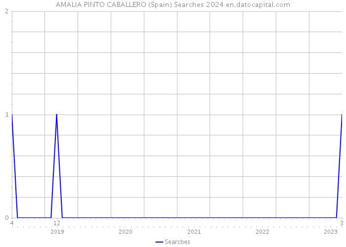 AMALIA PINTO CABALLERO (Spain) Searches 2024 