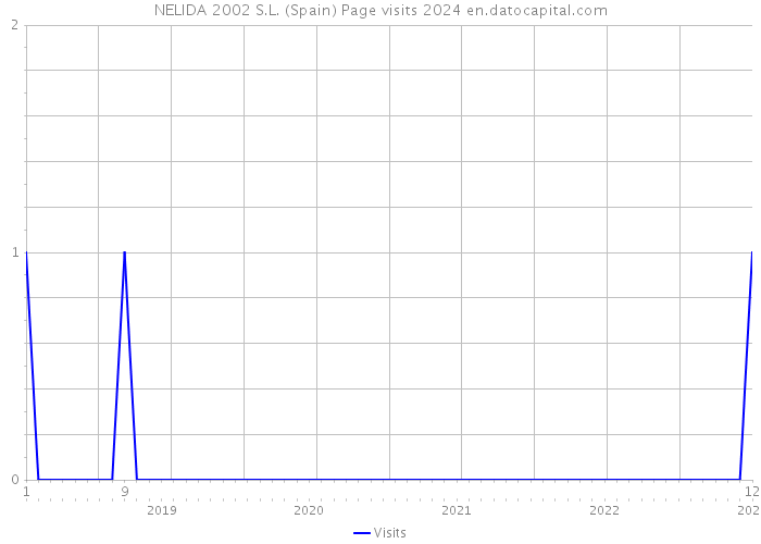 NELIDA 2002 S.L. (Spain) Page visits 2024 