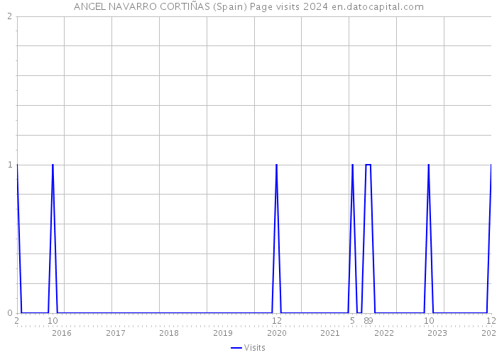 ANGEL NAVARRO CORTIÑAS (Spain) Page visits 2024 