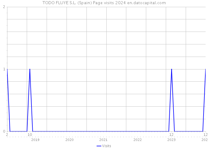 TODO FLUYE S.L. (Spain) Page visits 2024 