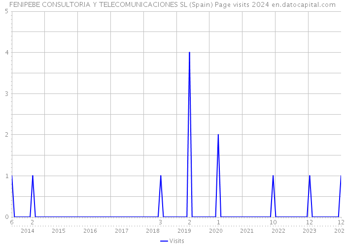 FENIPEBE CONSULTORIA Y TELECOMUNICACIONES SL (Spain) Page visits 2024 