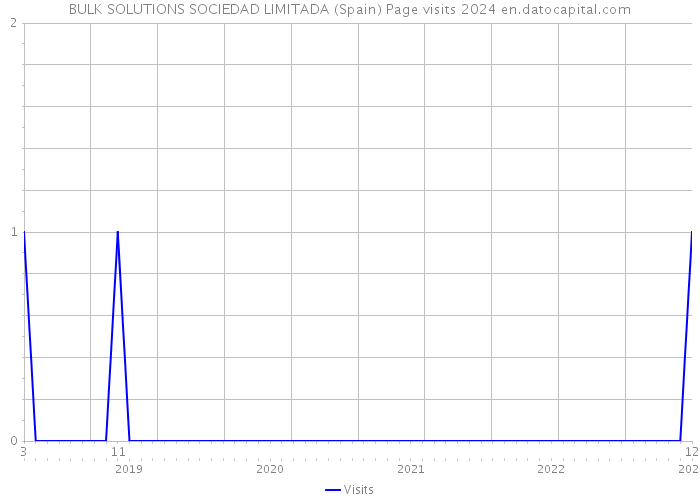 BULK SOLUTIONS SOCIEDAD LIMITADA (Spain) Page visits 2024 
