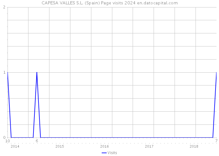 CAPESA VALLES S.L. (Spain) Page visits 2024 
