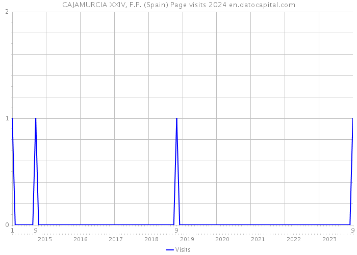 CAJAMURCIA XXIV, F.P. (Spain) Page visits 2024 
