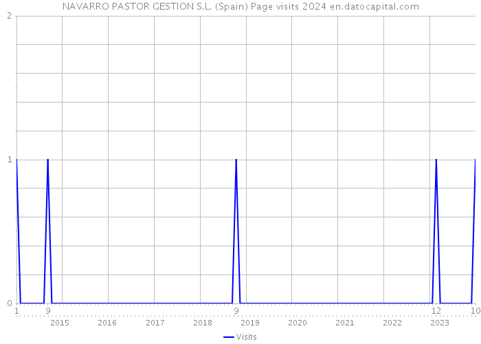 NAVARRO PASTOR GESTION S.L. (Spain) Page visits 2024 