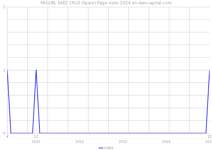 MIGUEL SAEZ CRUZ (Spain) Page visits 2024 