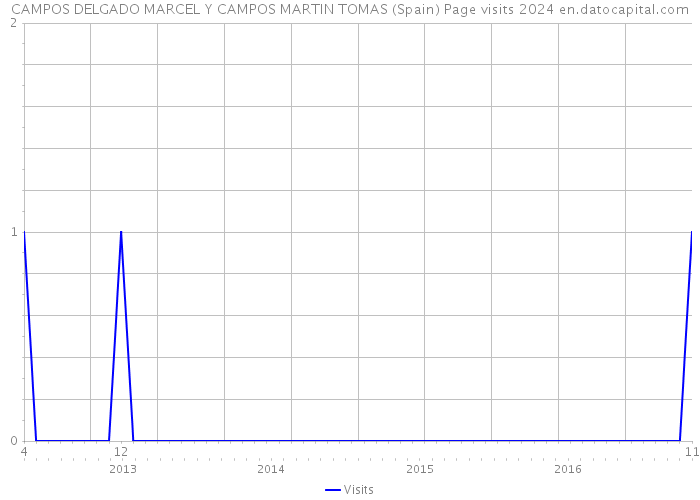 CAMPOS DELGADO MARCEL Y CAMPOS MARTIN TOMAS (Spain) Page visits 2024 