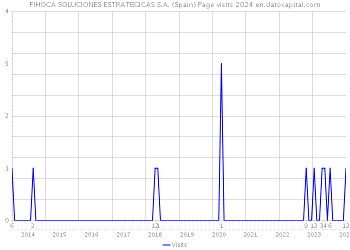 FIHOCA SOLUCIONES ESTRATEGICAS S.A. (Spain) Page visits 2024 