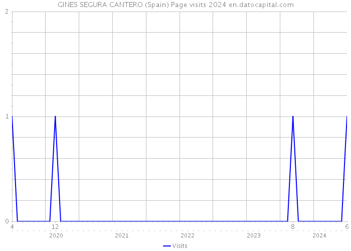 GINES SEGURA CANTERO (Spain) Page visits 2024 