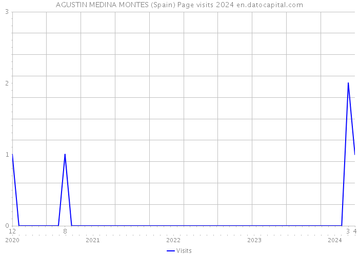 AGUSTIN MEDINA MONTES (Spain) Page visits 2024 