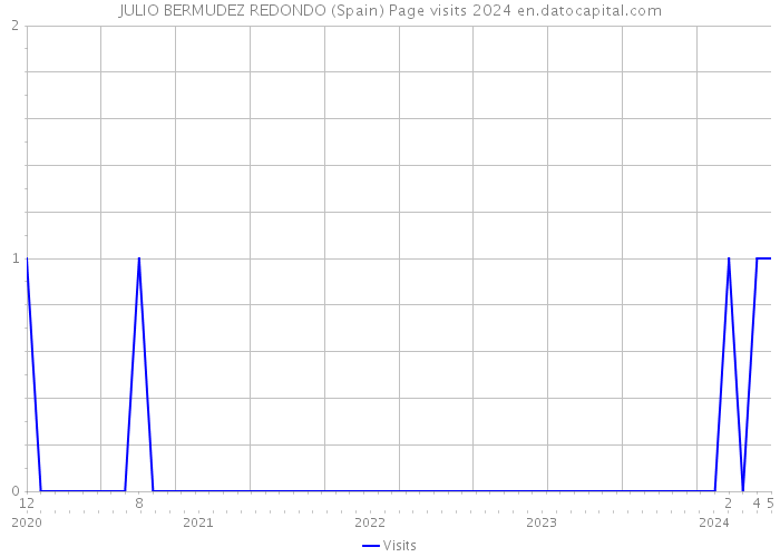 JULIO BERMUDEZ REDONDO (Spain) Page visits 2024 