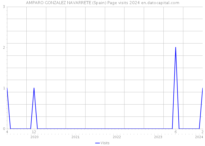 AMPARO GONZALEZ NAVARRETE (Spain) Page visits 2024 