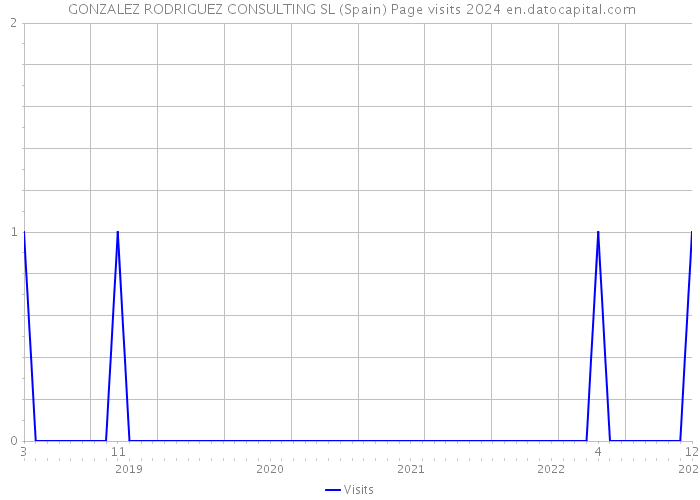  GONZALEZ RODRIGUEZ CONSULTING SL (Spain) Page visits 2024 