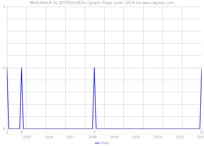 BRAUHAUS SL (EXTINGUIDA) (Spain) Page visits 2024 