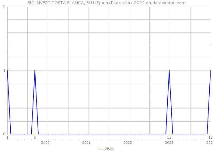 BIG INVEST COSTA BLANCA, SLU (Spain) Page visits 2024 