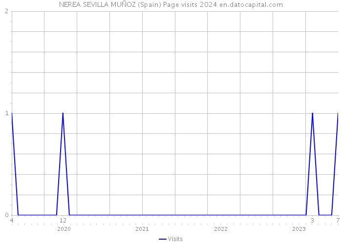 NEREA SEVILLA MUÑOZ (Spain) Page visits 2024 