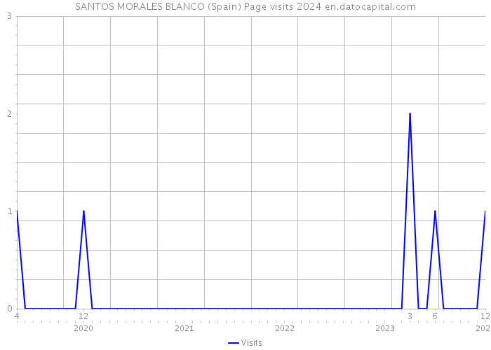 SANTOS MORALES BLANCO (Spain) Page visits 2024 