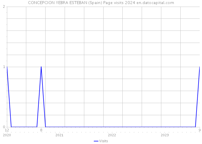 CONCEPCION YEBRA ESTEBAN (Spain) Page visits 2024 