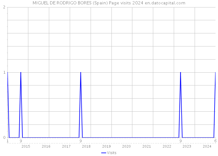 MIGUEL DE RODRIGO BORES (Spain) Page visits 2024 