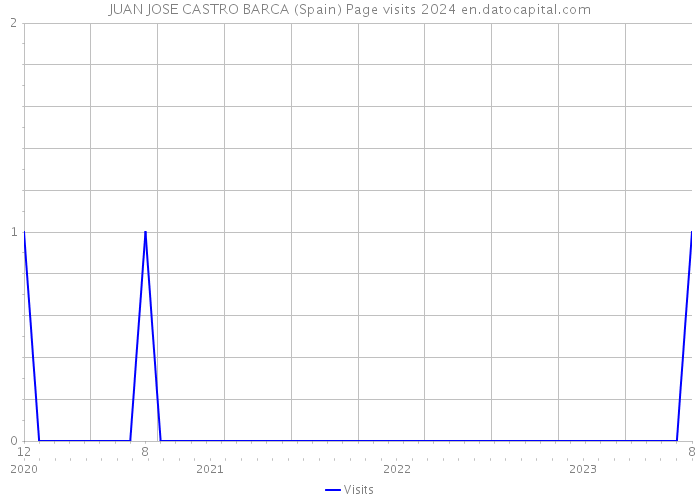 JUAN JOSE CASTRO BARCA (Spain) Page visits 2024 