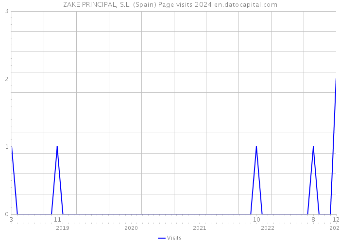 ZAKE PRINCIPAL, S.L. (Spain) Page visits 2024 