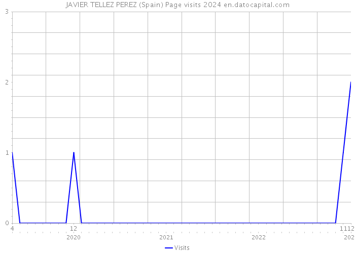 JAVIER TELLEZ PEREZ (Spain) Page visits 2024 
