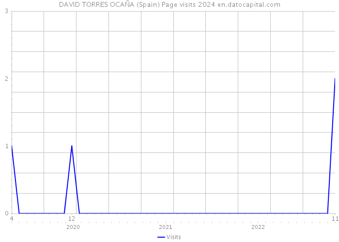 DAVID TORRES OCAÑA (Spain) Page visits 2024 
