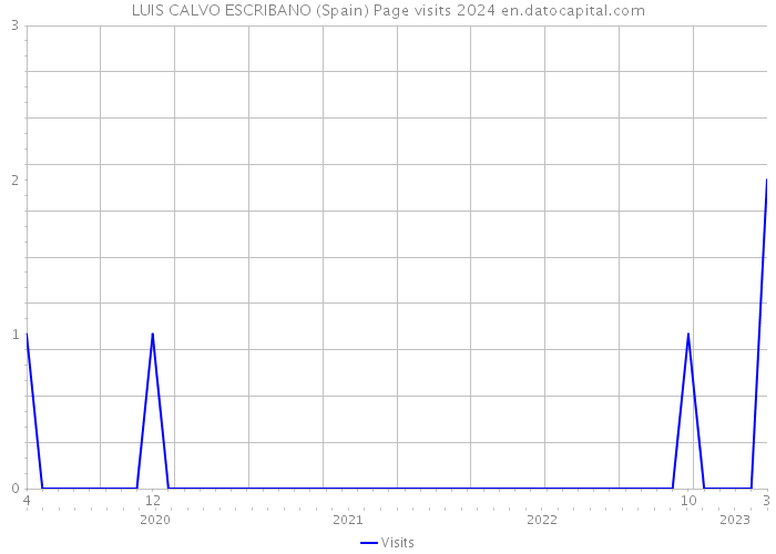 LUIS CALVO ESCRIBANO (Spain) Page visits 2024 