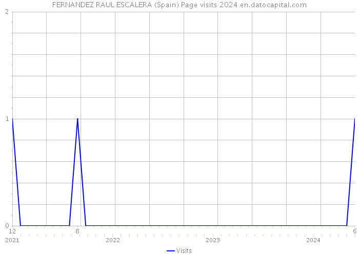 FERNANDEZ RAUL ESCALERA (Spain) Page visits 2024 