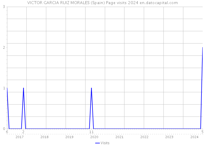 VICTOR GARCIA RUIZ MORALES (Spain) Page visits 2024 