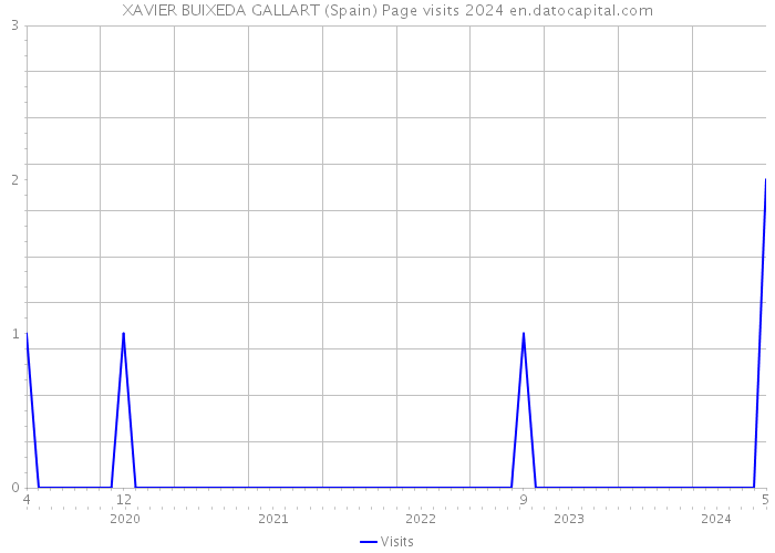 XAVIER BUIXEDA GALLART (Spain) Page visits 2024 