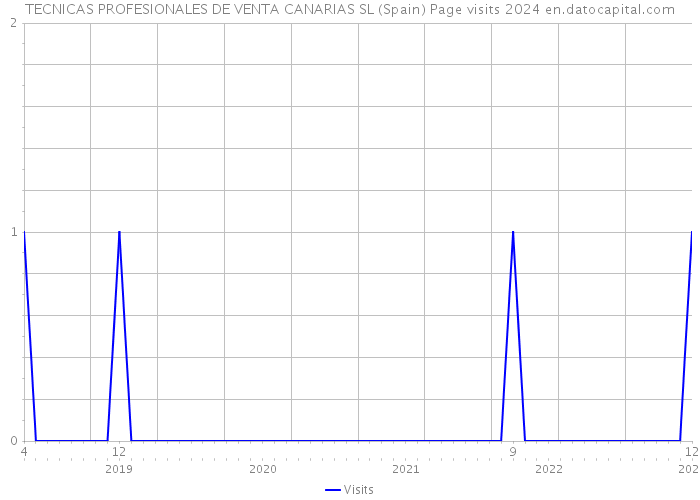 TECNICAS PROFESIONALES DE VENTA CANARIAS SL (Spain) Page visits 2024 