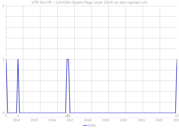 UTE SACYR - CAVOSA (Spain) Page visits 2024 