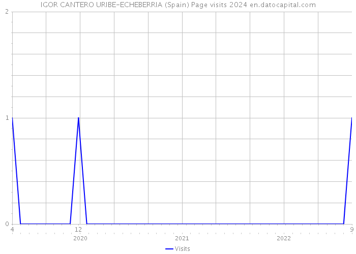 IGOR CANTERO URIBE-ECHEBERRIA (Spain) Page visits 2024 