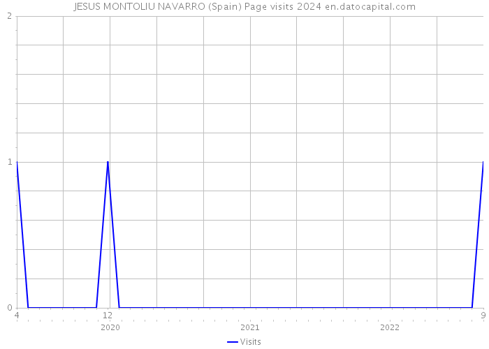 JESUS MONTOLIU NAVARRO (Spain) Page visits 2024 