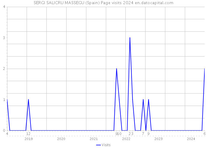 SERGI SALICRU MASSEGU (Spain) Page visits 2024 