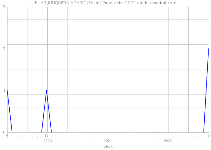 PILAR JUNQUERA ADARO (Spain) Page visits 2024 