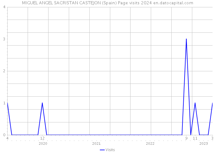 MIGUEL ANGEL SACRISTAN CASTEJON (Spain) Page visits 2024 