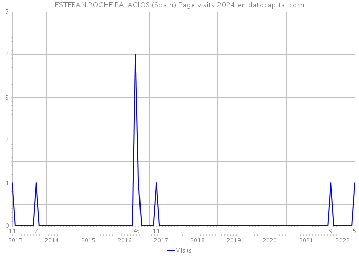 ESTEBAN ROCHE PALACIOS (Spain) Page visits 2024 