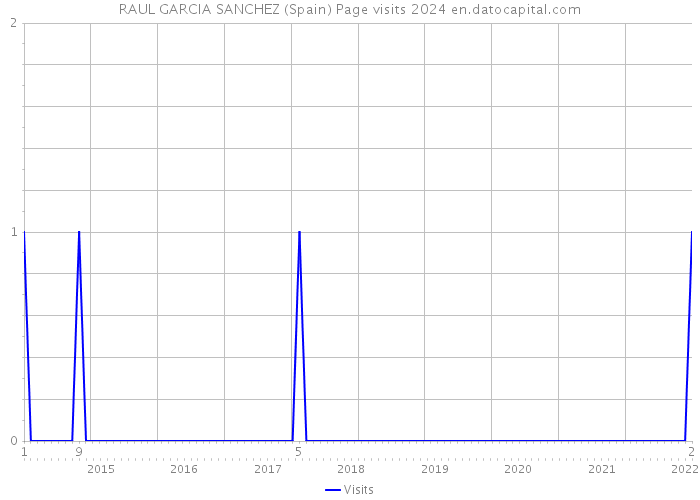 RAUL GARCIA SANCHEZ (Spain) Page visits 2024 