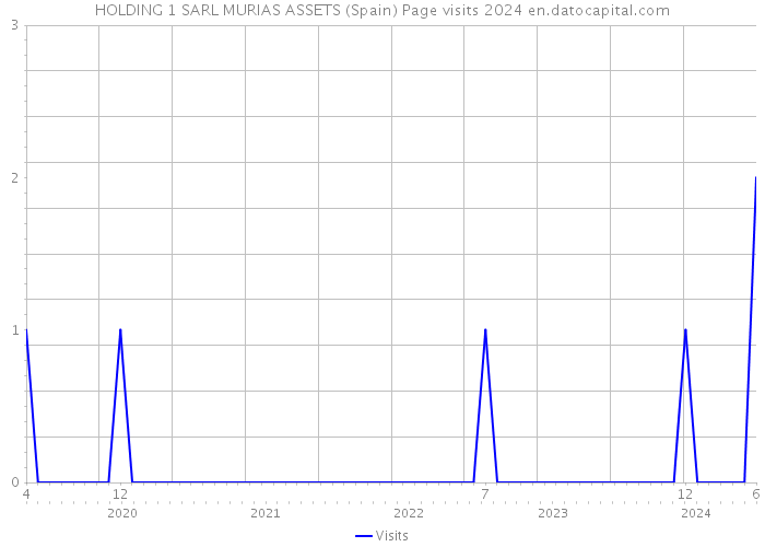 HOLDING 1 SARL MURIAS ASSETS (Spain) Page visits 2024 