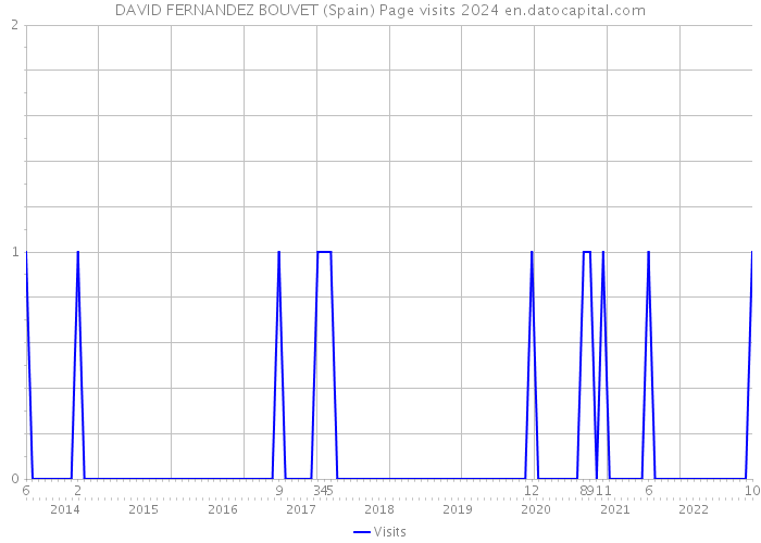 DAVID FERNANDEZ BOUVET (Spain) Page visits 2024 