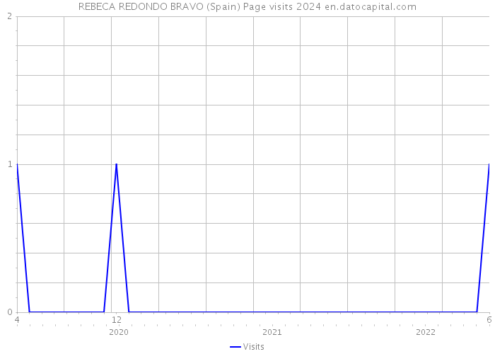REBECA REDONDO BRAVO (Spain) Page visits 2024 
