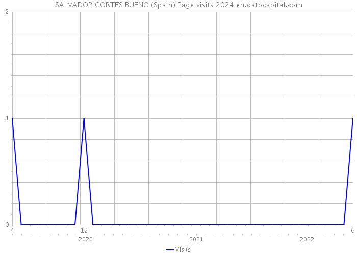 SALVADOR CORTES BUENO (Spain) Page visits 2024 